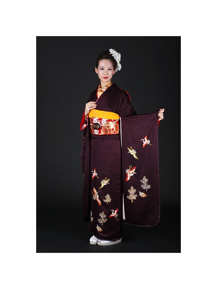 未婚の姉妹、友人として参加する場合の着物「振袖レンタル」 - KIMONO